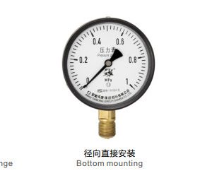 Đồng hồ đo áp suất Y series