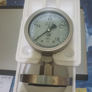 Pressure gauges- YNMF100B-CHINA