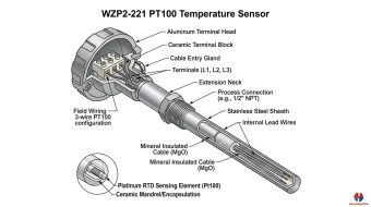 Cảm Biến Nhiệt Độ PT100 WZP2-221 